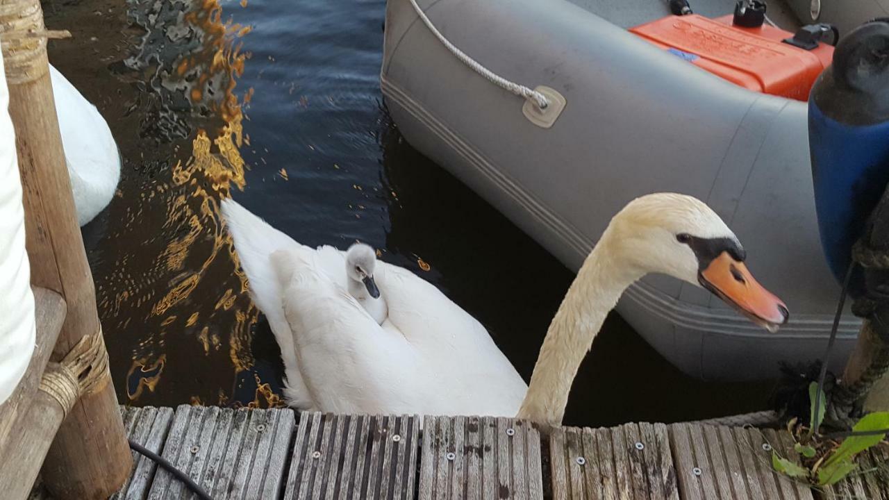 Accommodatie bij particulieren Aquarius